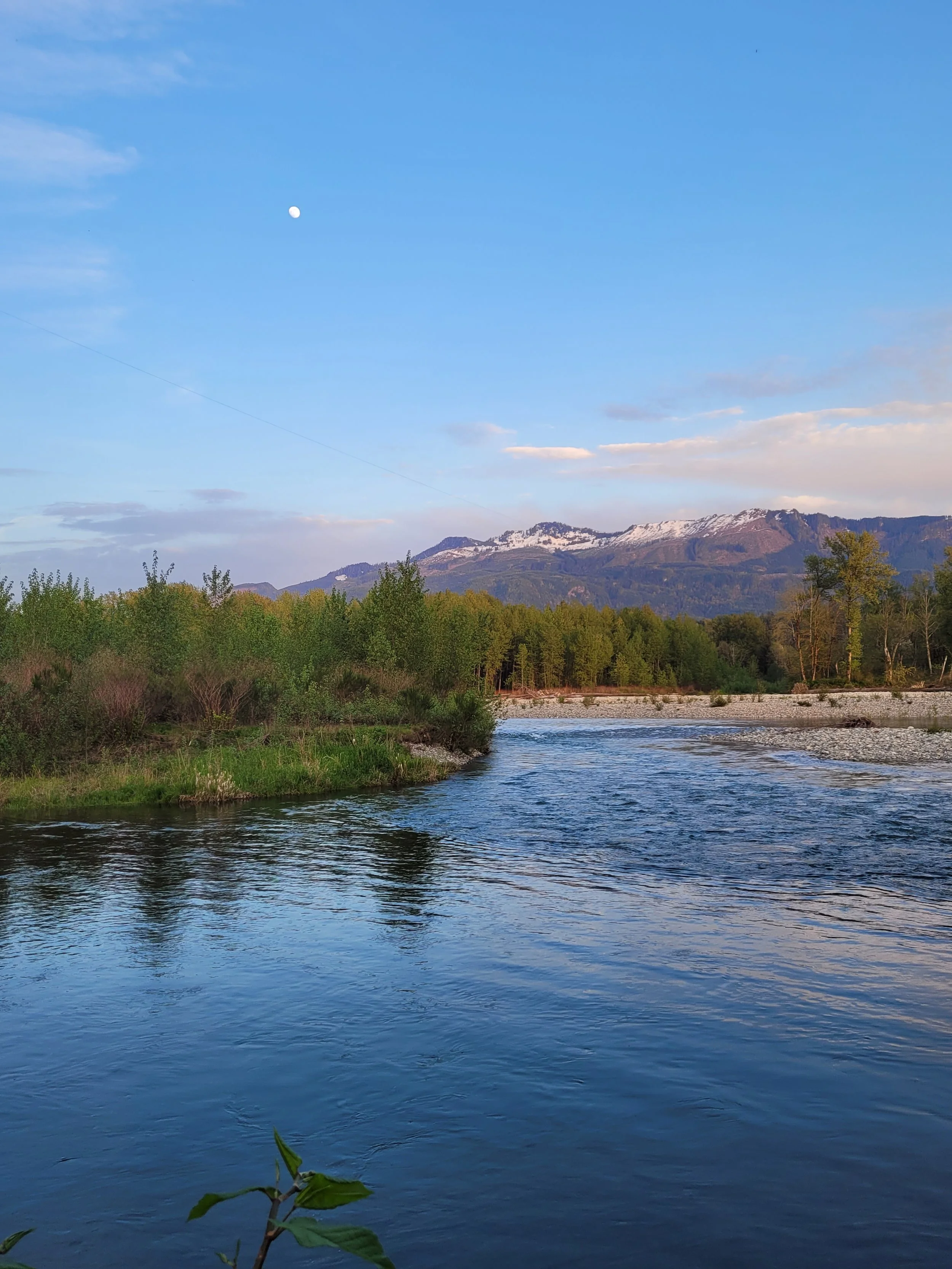 Scenic view of the Skykomish River